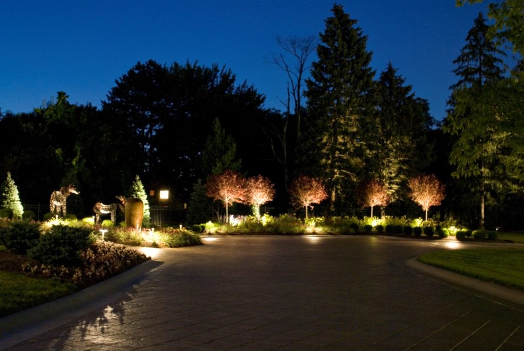 Highlight tree with landscape lighting for rural properties