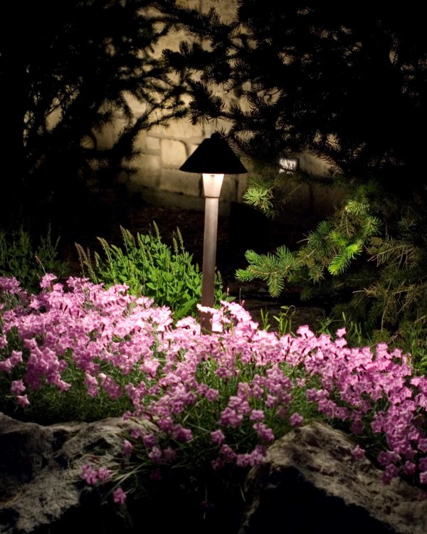 Pruning for effective landscape lighting