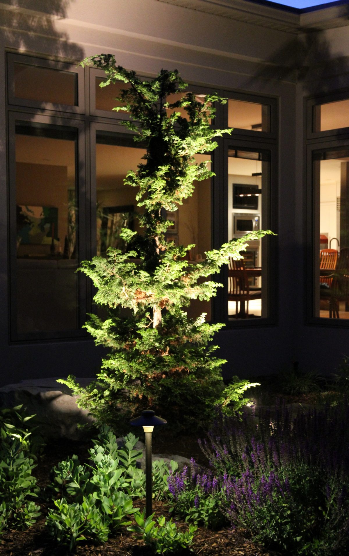 Does outdoor lighting harm trees? Nite Time Decor