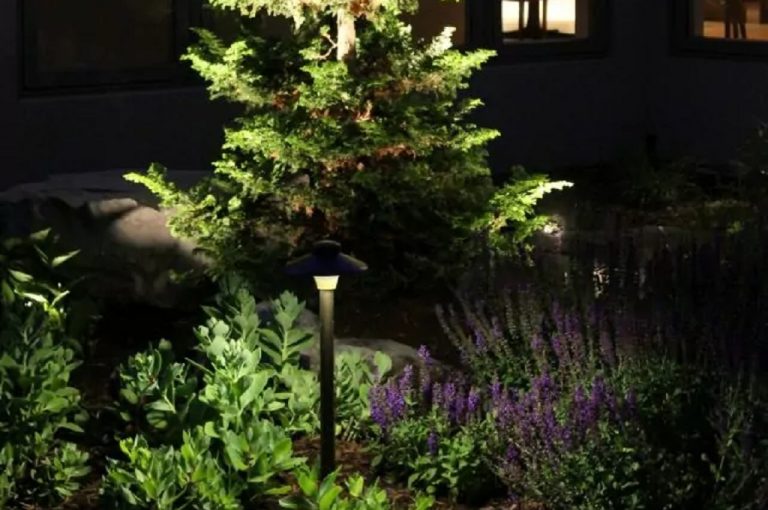 Does outdoor lighting harm trees? Nite Time Decor