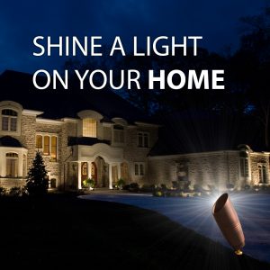Light your home with professionally installed landscape lighting 