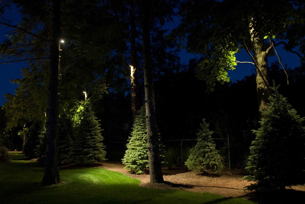 Tree lighting