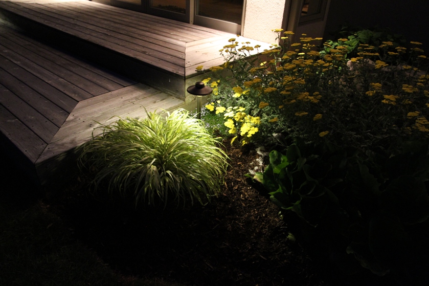Down lighting to prevent light pollution with your landscape lighting system oakville 