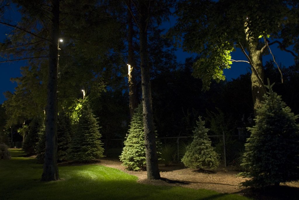 Moon outdoor lighting trees